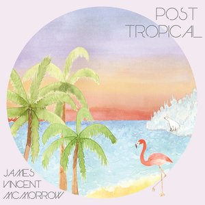 Image for 'Post Tropical'