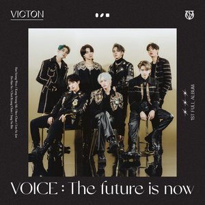 “VOICE : The future is now”的封面