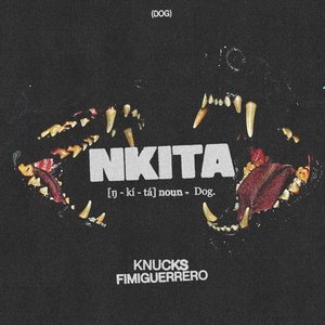 Imagen de 'Nkita (feat. Fimiguerrero)'