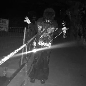 “phreshboyswag”的封面