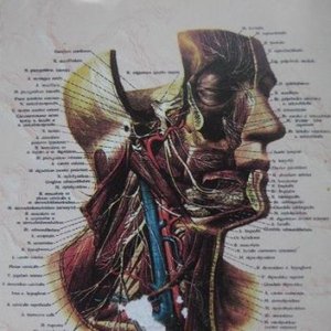 Image for 'Daugiau skerdienos'