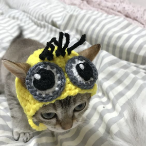 gatinhofumante