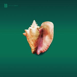 Image for 'Conch'