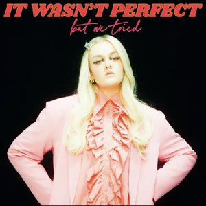 Image for 'It Wasn't Perfect, But We Tried'
