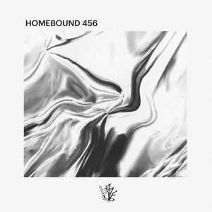 Image for 'Homebound 456'