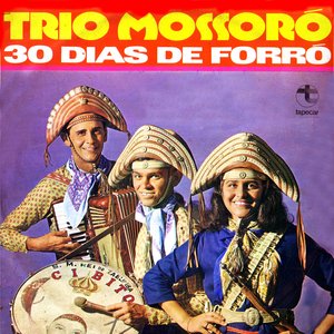 Image for '30 dias de Forró'