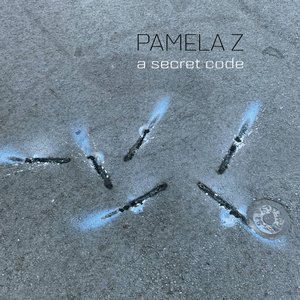 Imagem de 'A Secret Code'