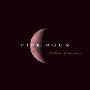 Изображение для 'Pink Moon'