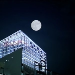 Immagine per 'withering spheres'