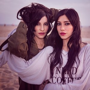 Immagine per 'The Veronicas'