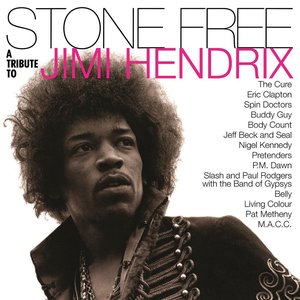 Imagem de 'Stone Free: A Tribute to Jimi Hendrix'