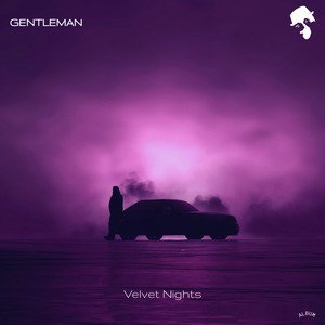 Image for 'Velvet Nights'