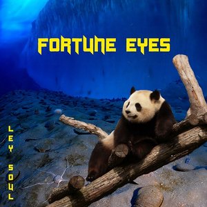 Image for 'Fortune Eyes'