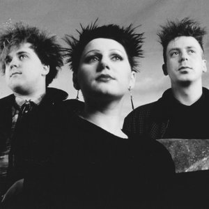 Immagine per 'Cocteau Twins'