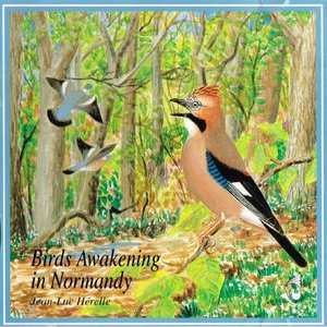 Imagen de 'Le réveil des oiseaux en Normandie - Birds Awakening in Normandy'