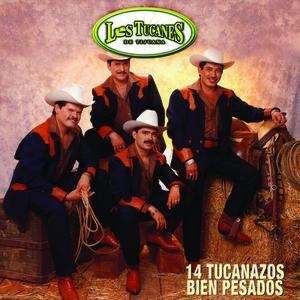 Image for '14 Tucanazos Bien Pesados'