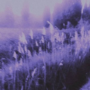 “sky of fading lights”的封面