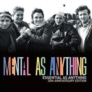 “Essential as Anything (30th Anniversary Edition) [Audio Version]”的封面
