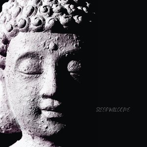 “Sleep Will Come”的封面