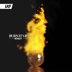 Image for 'Burn It Up'