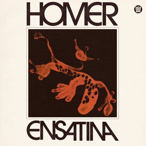 Imagen de 'Ensatina'