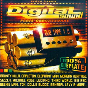 Image for 'Digital Sound Dub Tape 1.0 (100% Dubplate)'