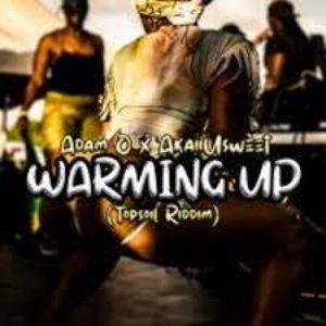 Image for 'Warming up ( Top Soil Riddim)'