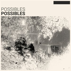 Image for 'possibles'