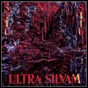 “Ultra Silvam”的封面