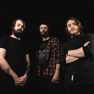 Image for 'Conifer Beard'