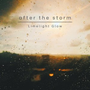 Image for 'After the Storm'