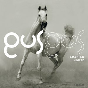 Bild für 'Arabian Horse'