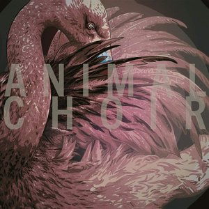 Image for 'Animal Choir'