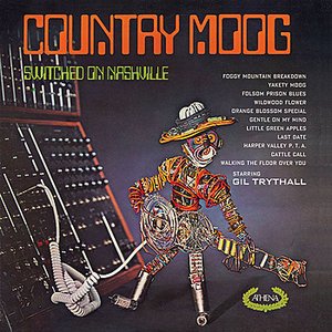 'Country Moog / Nashville Gold' için resim