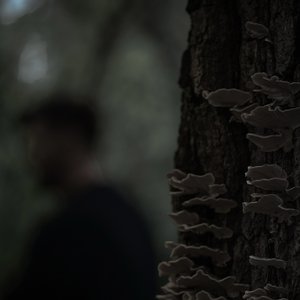 Image for 'Andvari'