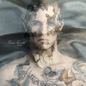 Image for 'Comuni Immortali'
