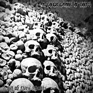 Image for 'A Pit of Nazi Skulls'