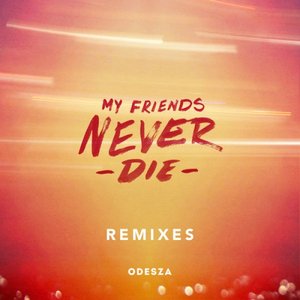 Bild för 'My Friends Never Die Remixes'