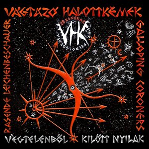 Image for 'Végtelenből Kilőtt Nyilak'