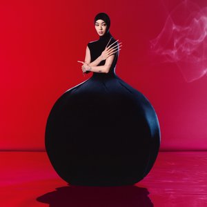 Image for 'Hold the Girl'