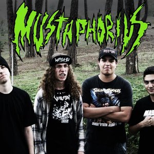 Image for 'mustaphorius'