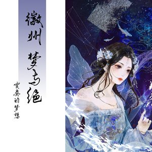 “变奏的梦想”的封面
