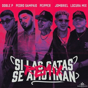 Изображение для 'Si Las Gatas Se Amotinan (feat. DobleP) [Remix]'