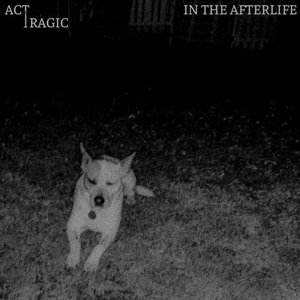 Image for 'In The Afterlife'