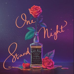 Image for 'One Night Stand'