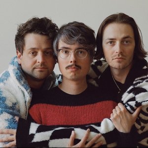 Immagine per 'Joywave'