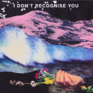 Image for 'I Don't Recognise You'