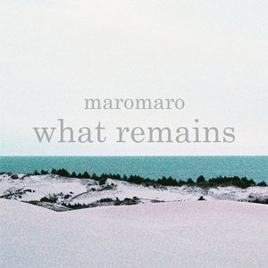 “what remains”的封面
