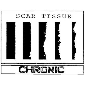 Image for 'Chronic'