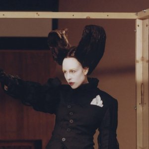 Bild für 'Allie X'